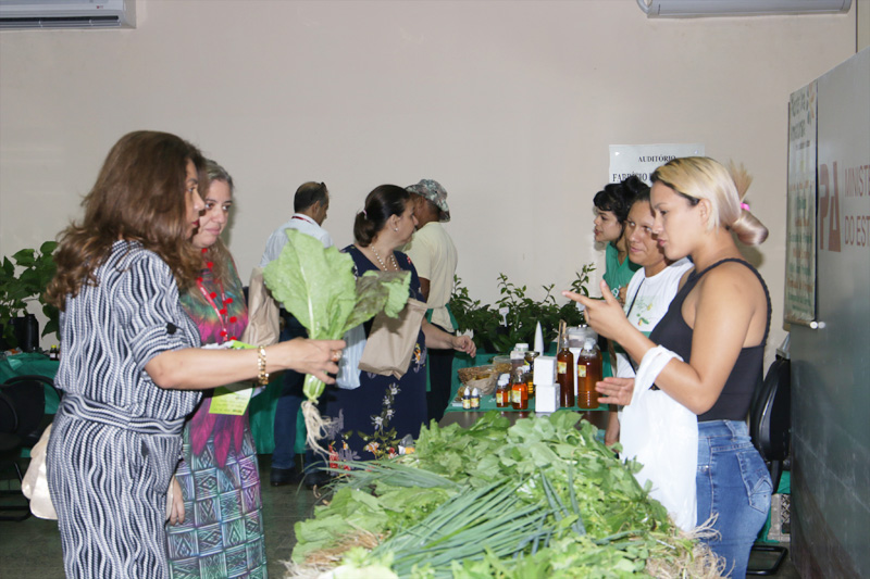 Feira de produtos orgânicos
