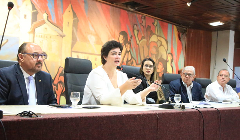 Deputada Heloisa Guimarães coordenou os debates na Alepa Deputada Heloisa Guimarães coordenou os debates na Alepa