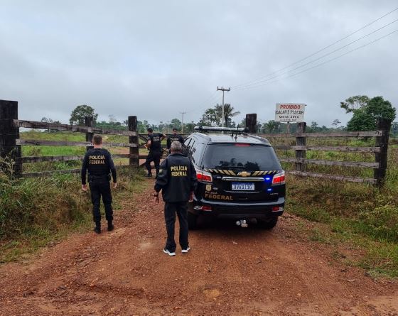 Foram cumpridos cinco mandados de busca e apreensão