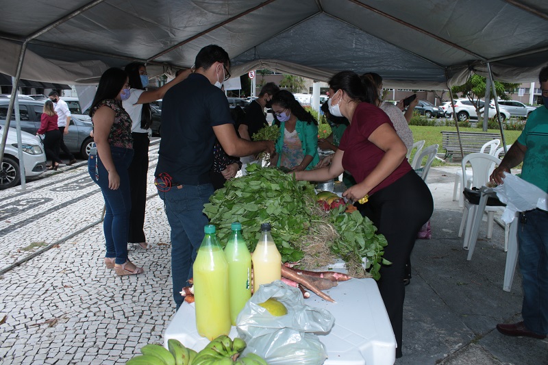 Feira de agricultura familiar