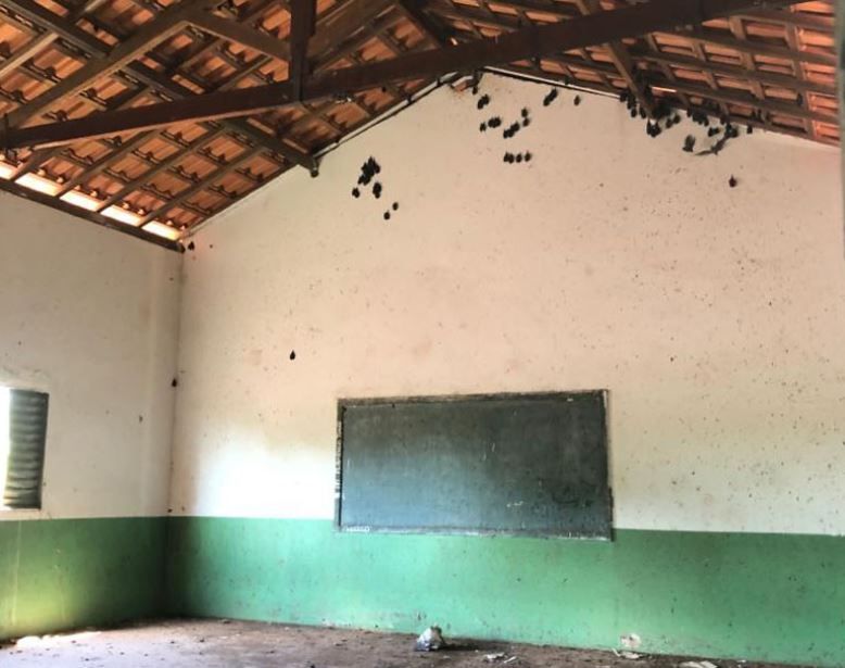 Uma das salas de aula está cheia de morcegos, oferecendo risco à saúde