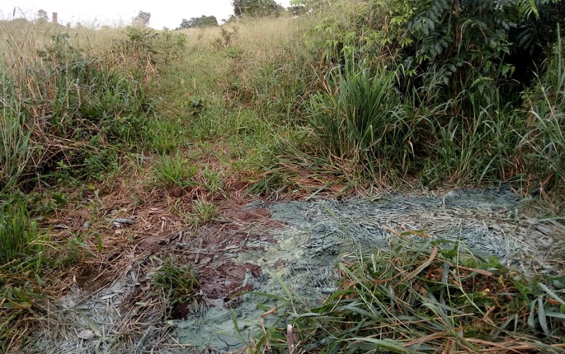 Um dos barris vazou dentro de uma propriedade rural Um dos barris vazou dentro de uma propriedade rural