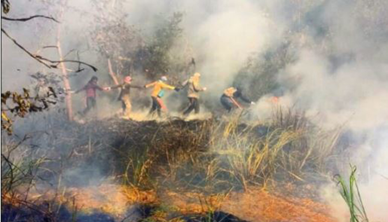 Brigadistas combatem o fogo na floresta