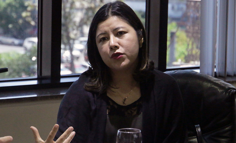 Promotora de Justiça Ione Nakamura detalhou as várias frentes de trabalho do MPPA